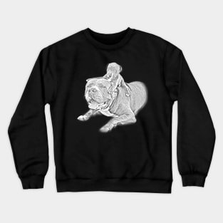 Puppy Pitbull Sketch Design Crewneck Sweatshirt